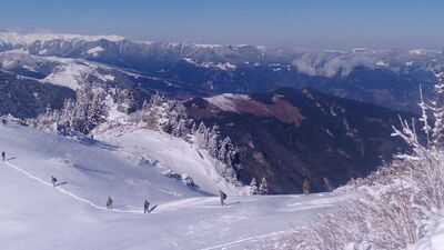 Trabzon Maçka'da terör örgütü PKK'ya operasyon