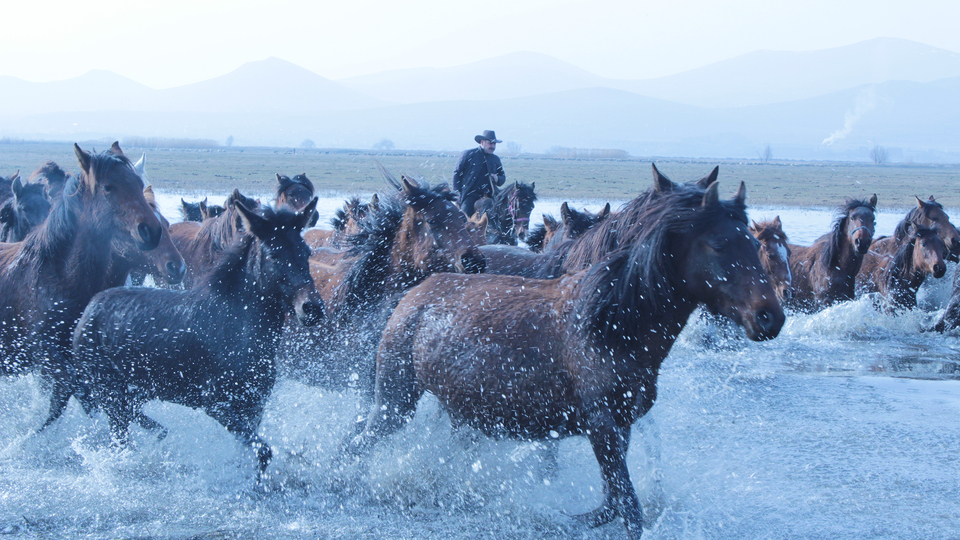Özür dilerim Anadolu!