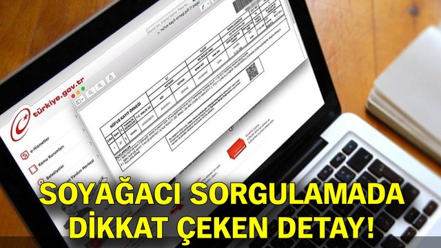 Milyonlar e-Devlet'te! Soyağacı sorgulamada dikkat çeken detay