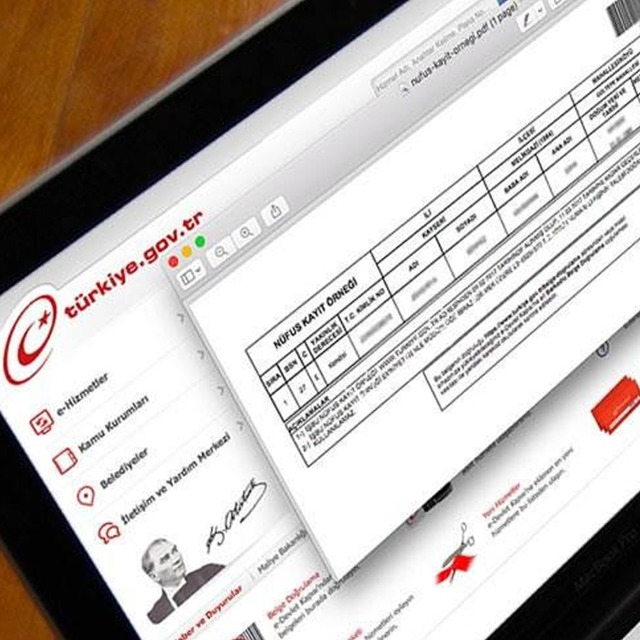 Milyonlar e-Devlet'te! Soyağacı sorgulamada dikkat çeken detay