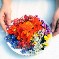 Sevgilinizin gönderdiği bu çiçekleri yiyebilirsiniz!