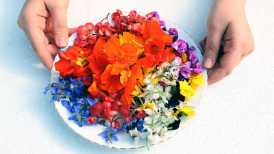 Sevgilinizin gönderdiği bu çiçekleri yiyebilirsiniz!