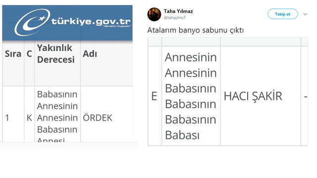 e-Devlet soyağacı sorgulamasında rastlanan en ilginç isimler!