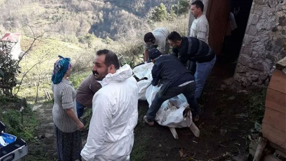 Trabzon'da ikinci şarbon vakası