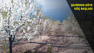 Yozgat'ın o köyü tarlaları birleştirince işsizlik bitti!