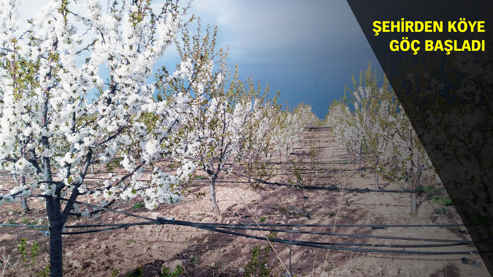 Yozgat'ın o köyü tarlaları birleştirince işsizlik bitti!