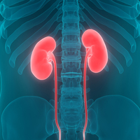 Bu alışkanlıklar böbrekleri bitiriyor!