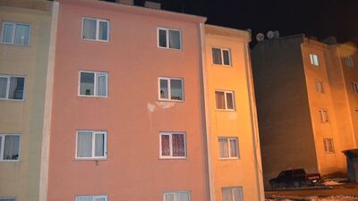 Televizyon antenini tamir etmek için çatıya çıktılar, sonu kötü bitti!