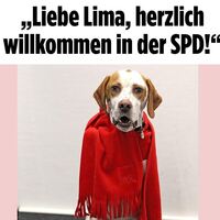 Bild gazetesinin SPD'ye oyunu: Köpek Lima!