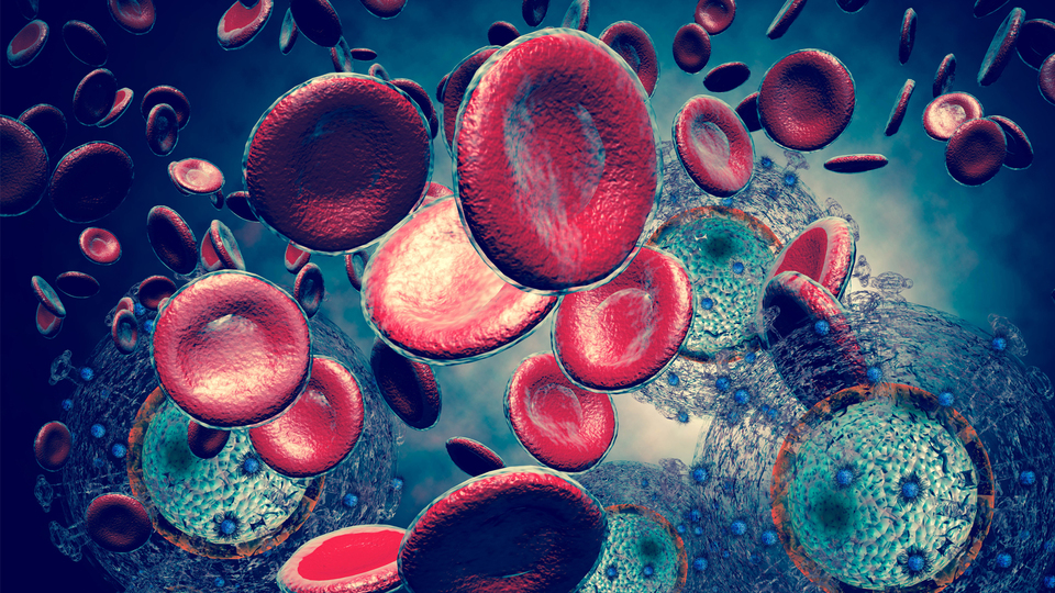 100 bin kişilik gıda-kanser araştırması!