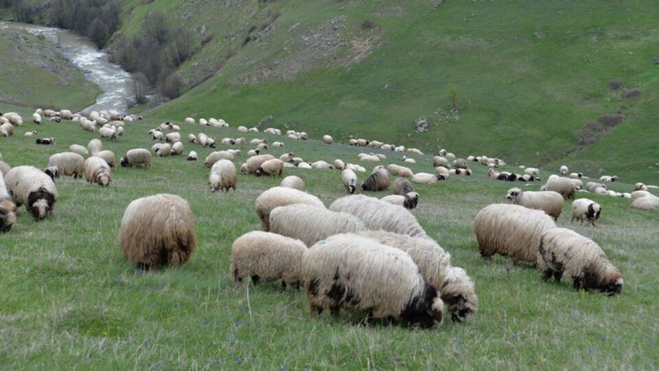 Başvurular başladı! İşte detaylar...