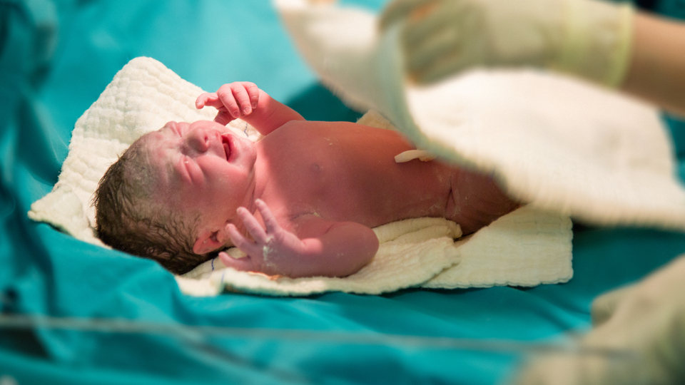 2.6 milyon bebek öldü