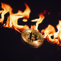 Bitcoin yalanı yüzünden tutuklandı!