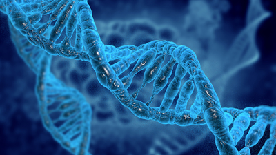 Ölümsüzlüğün tarihini verdiler!