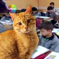 Sınıfın maskotu Tombi! Zorunlu ayrılığa böyle çözüm bulundu