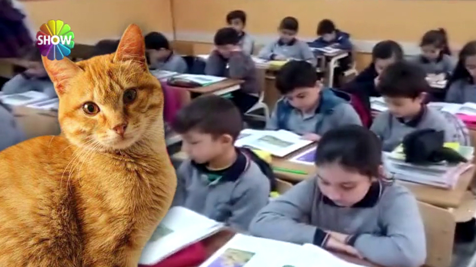 Sınıfın maskotu Tombi! Zorunlu ayrılığa böyle çözüm bulundu