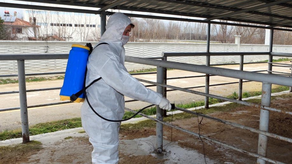 İki kentte şap alarmı!