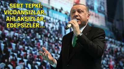 Erdoğan'dan Belediye Başkanı'na Goree Adası talimatı