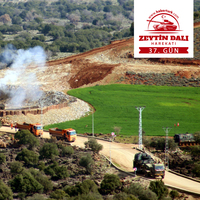 Afrin'de son durum... TSK'dan yeni açıklama