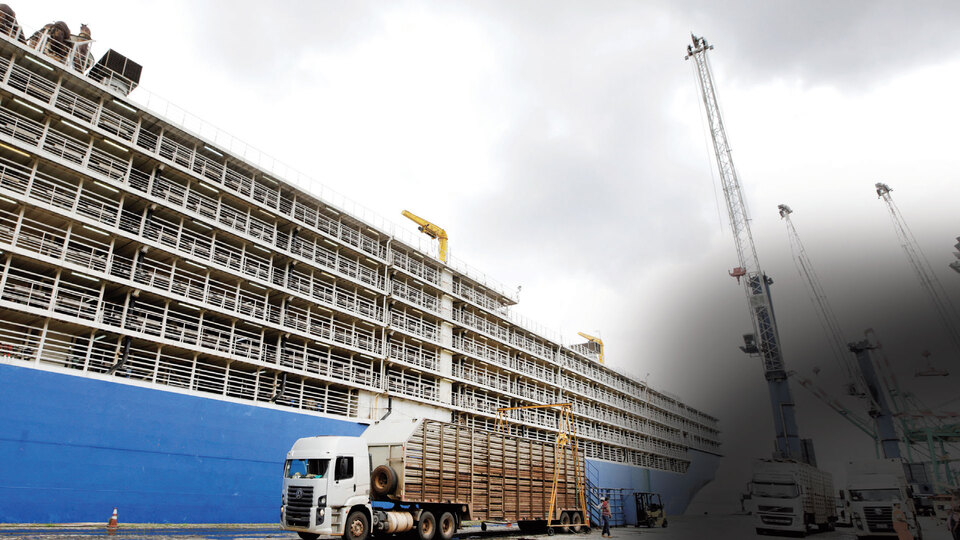 Tartışılan gemi Brezilya'dan Mersin'e ulaştı! Şoke eden işkence iddiaları!