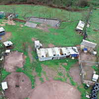 Kaz yetiştirme kamuflajı altında dehşet çiftliği