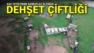 Kaz yetiştirme kamuflajı altında dehşet çiftliği