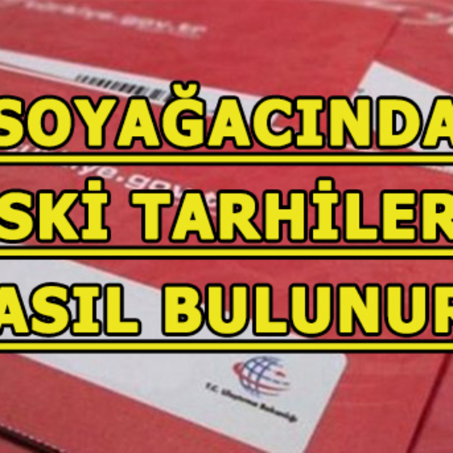 Soyağacında eski tarihlere kadar sorgulama yapılabilir mi?