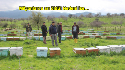 Aydın'da şoke eden olay!