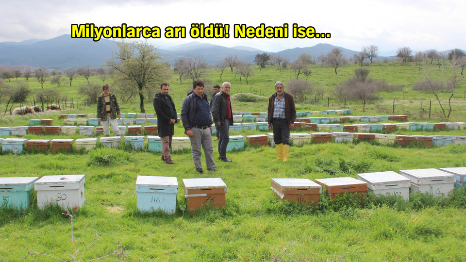 Aydın'da şoke eden olay!