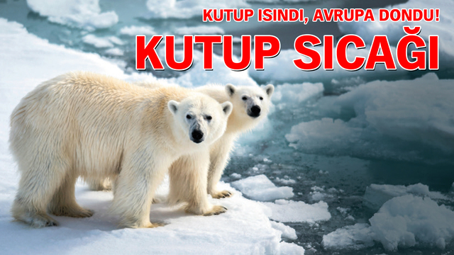 Kutup sıcağı