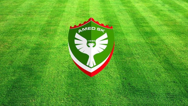 Amed Sportif Faaliyetler'e inceleme