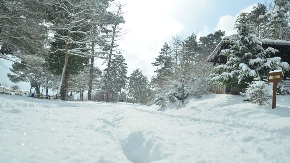 Kocaeli'de okullar tatil mi?