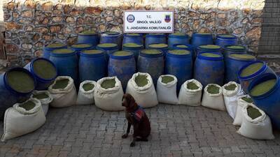 Bingöl'de terör operasyonu: 1 ton uyuşturucu ele geçirildi