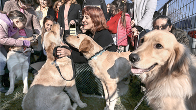 9 rehber köpek daha 5 aylık eğitime başlıyor