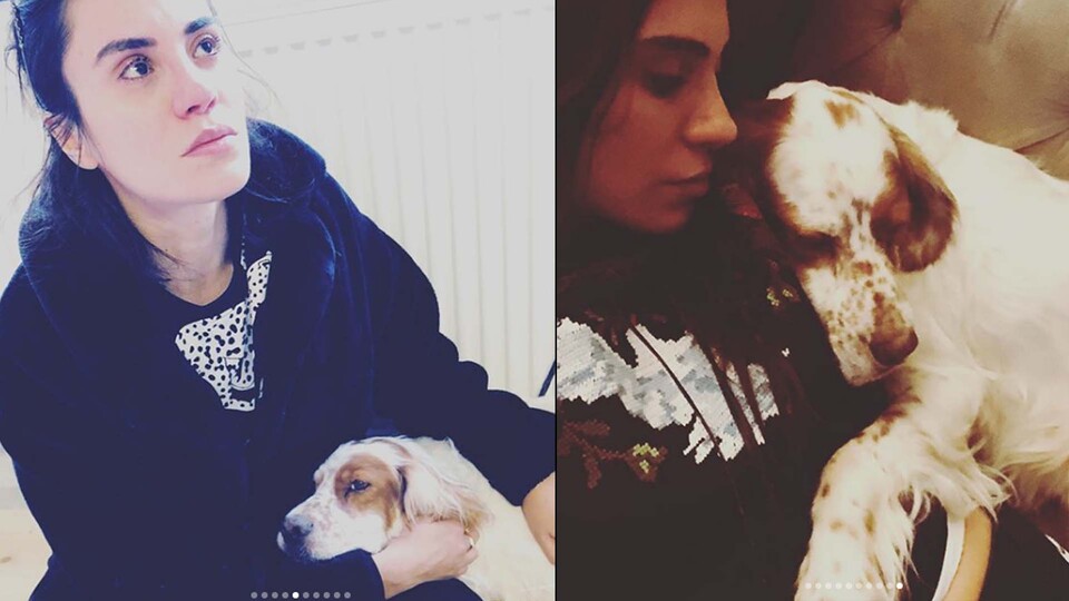 Şükran Ovalı köpeğini kaybetti: Melek oldu yavrum!