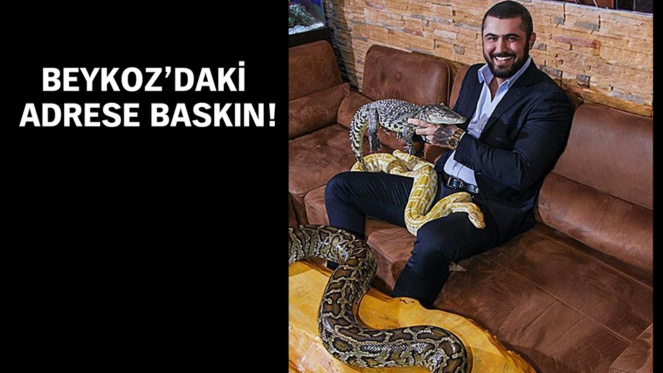 Konvoy ve pitonlu şovuyla gündeme gelmişti! Tehditler savurdu...