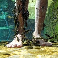 "Tatil turizminden daha fazla döviz getiriyor"