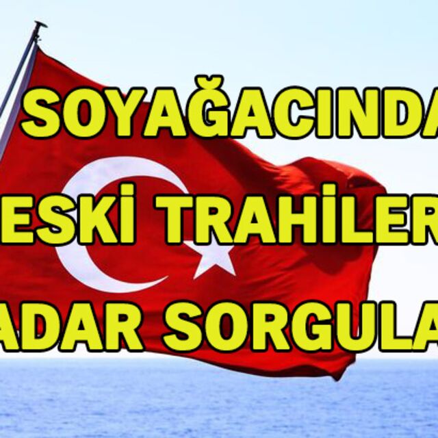 Soyağacı sorgulamasında eski tarihler sorgulanabilir mi?