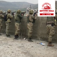 TSK, iki köyü daha teröristlerden temizledi