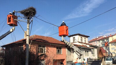 Elektrik direğini, leylek yuvasına zarar vermeden taşıdılar!