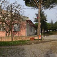 Mavi Balina iddiası! 10 yaşındaki çocuğun feci sonu