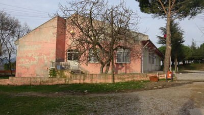 Mavi Balina iddiası! 10 yaşındaki çocuğun feci sonu