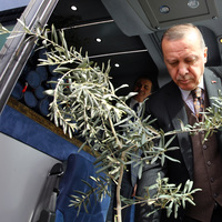 Erdoğan: Ey NATO neredesin!