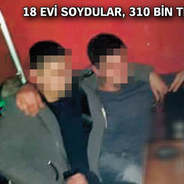 Denetimli hırsızlar