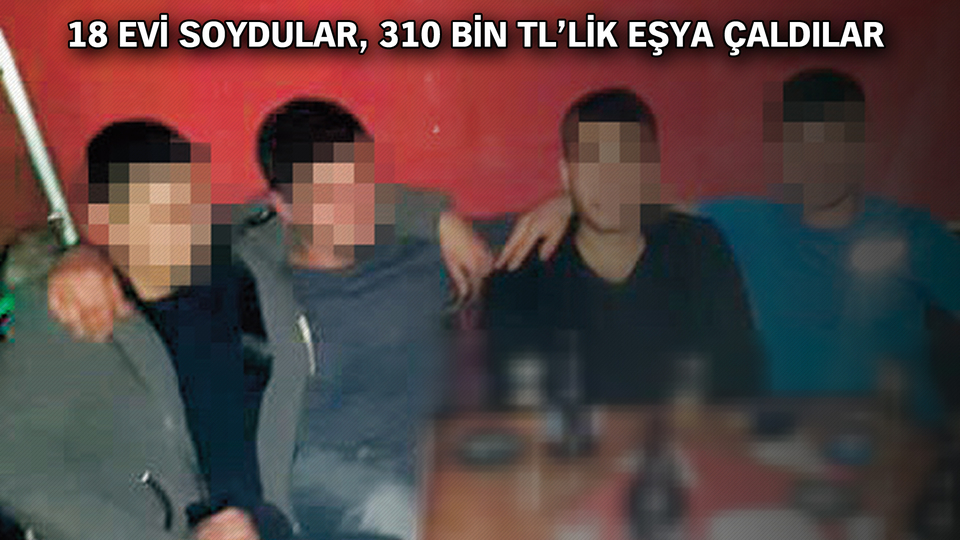 Denetimli hırsızlar