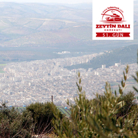 Afrin'de stratejik bölgeler teröristlerden temizlendi