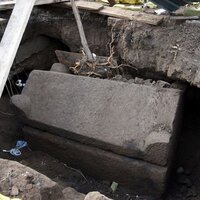 Kralın tacını bekliyorlardı, karşılarına bakın ne çıktı!