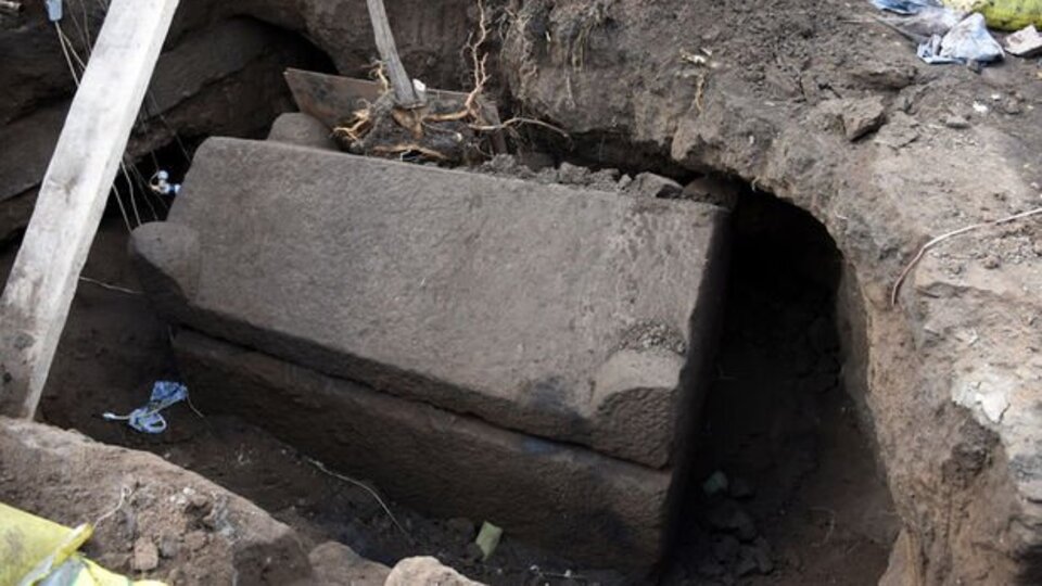 Kralın tacını bekliyorlardı, karşılarına bakın ne çıktı!
