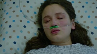 Kırgın Çiçekler final yaptı