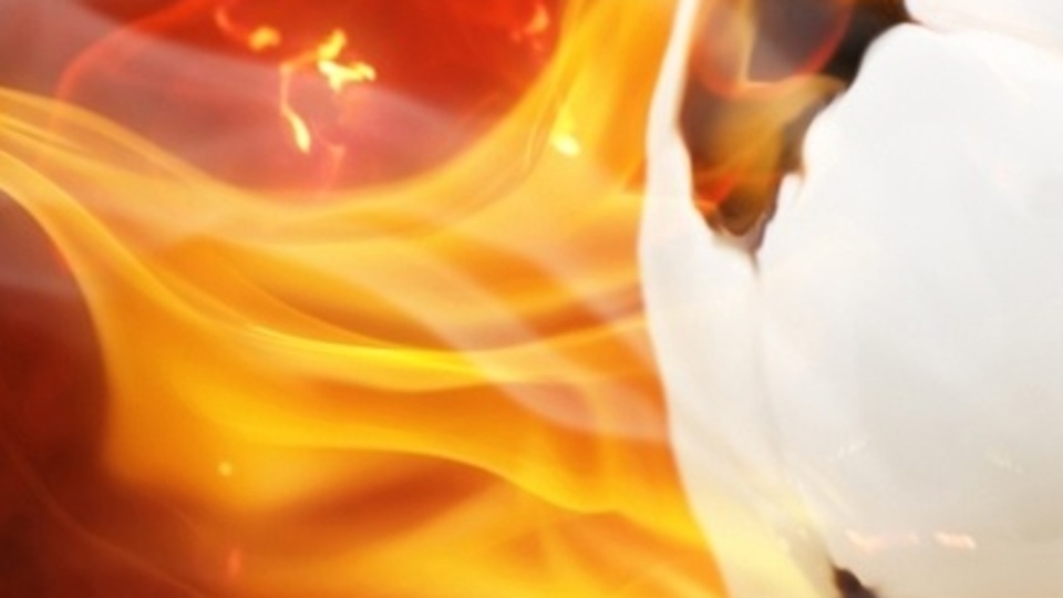 Derbinin favorisi açıklandı!